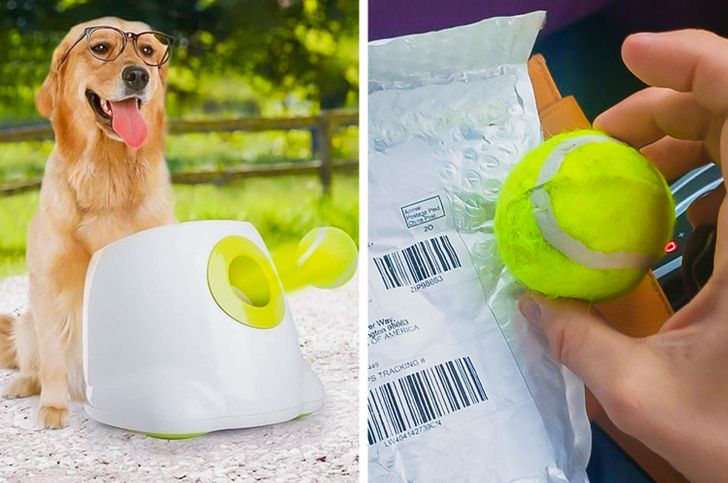 20 People Who Bought Cool Gifts For Their Pets But Weren T Ready - Diy Dog Ball Launcher Reddit