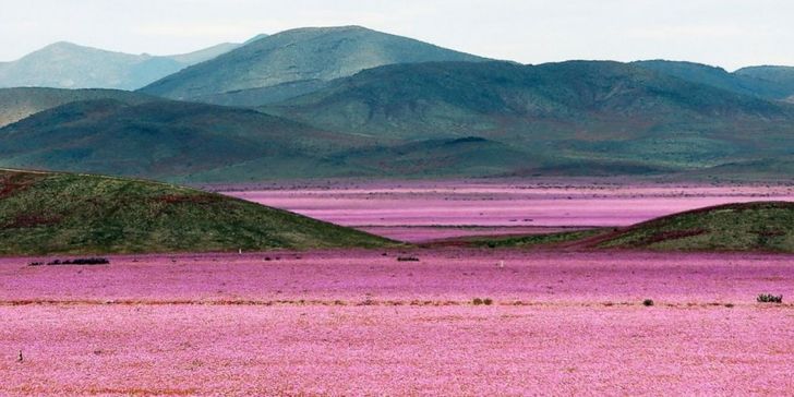 The 20 best photos of the month you just can’t take your eyes off of