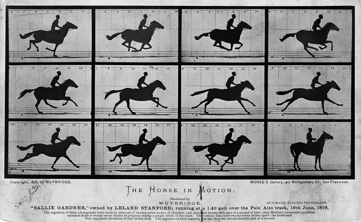 “The Horse in Motion,” Palo Alto, June 19, 1878