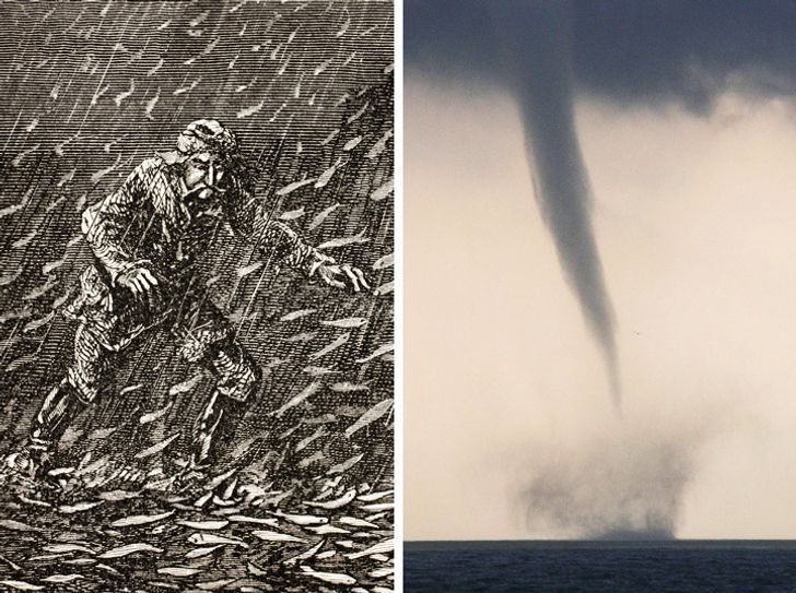 9 Anomalies Proving That Nature Can Beat Anyone — Just Look at Its Power