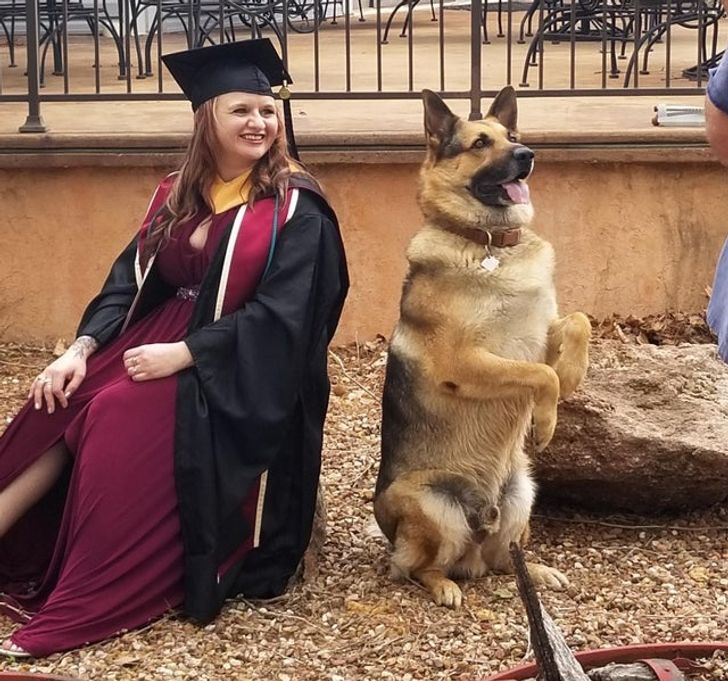 15 Pics That Show Just How Pure the Bond Between Pets and Humans Is