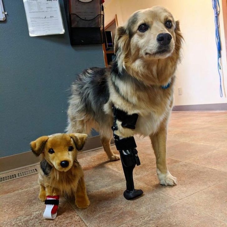 15+ Pics That Prove Support Is the Most Precious Thing in Life
