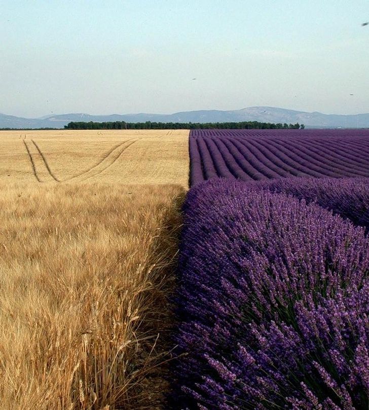 20 Truly Impressive Photos That Show an Unexpected Side of Life