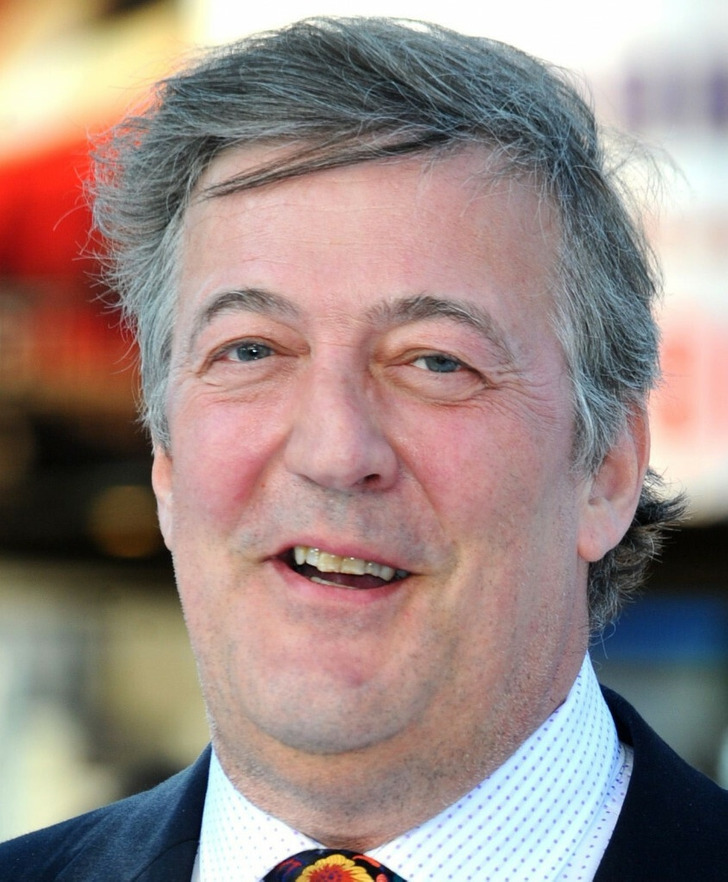 stephen fry young ones