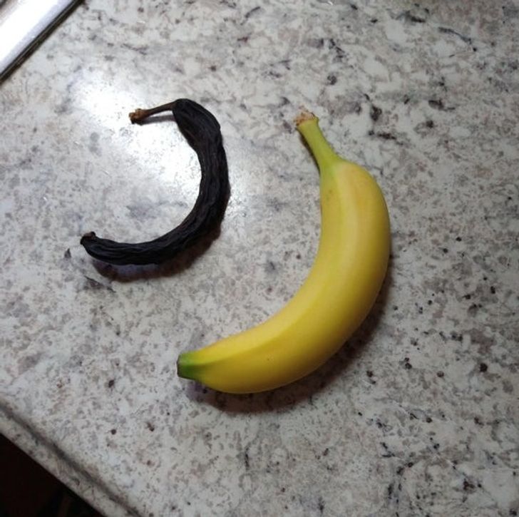 15+ Eye-Opening Photos That Show What Happens If You Just Leave Things ...