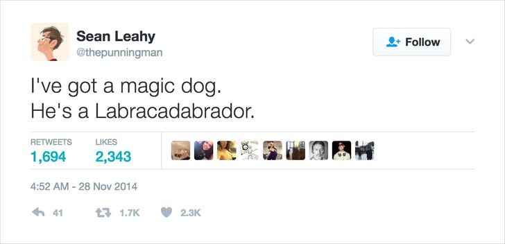 20 Tweets About Pets That Will Give Your Brain Some Rest