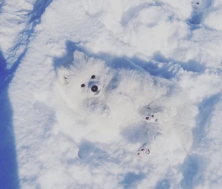 28 Icy Photos Proving Winter Is Not for the Faint-Hearted