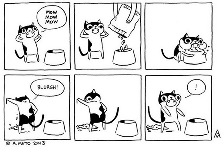 10+ Hilarious Comic Strips Every Cat Owner Will Understand