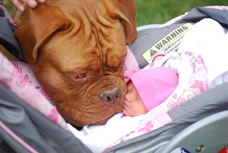 25 Exhilarating Photos That Will Make You Smile When You’re Having a Bad Day