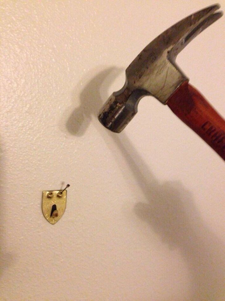 24 Hilariously Misleading Things That Will Make You Look Twice