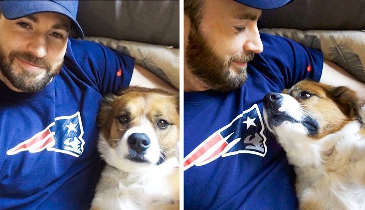Chris Evans Saved His Dog From a Shelter Like a True Superhero, and They've  Been