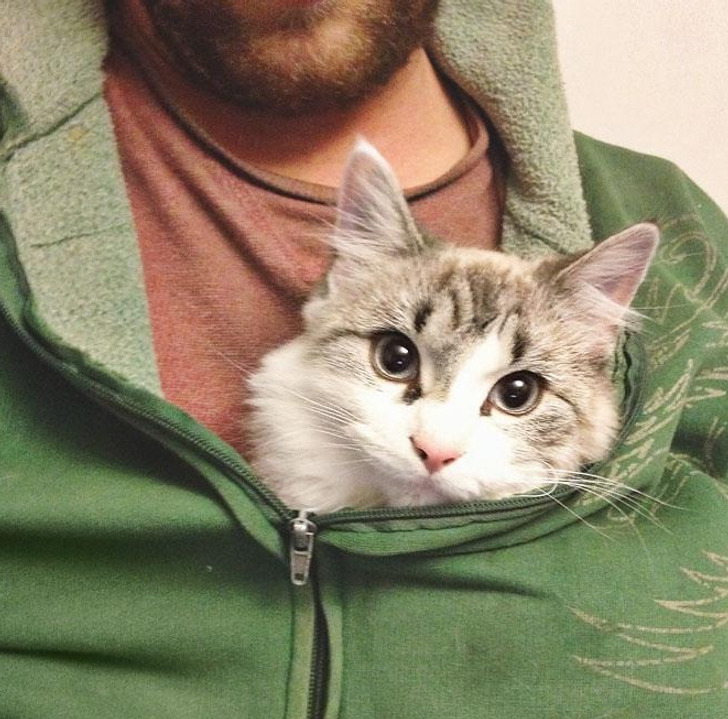 15 People Who Didn’t Want Pets, but Their Soft Hearts Had Other Plans