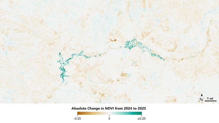 Change in vegetation along the Klamath River, 2024–2025 (NASA map)