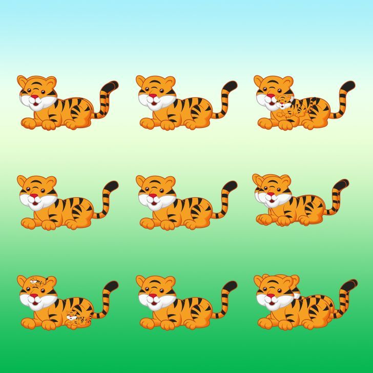 How many tigers do you see in the picture below?