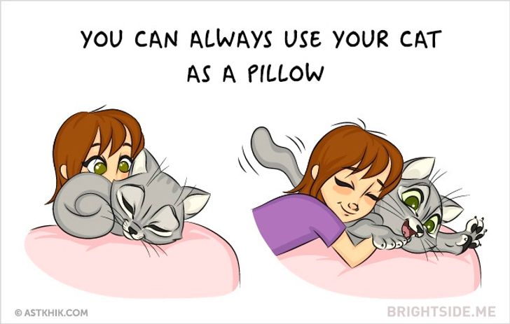 Nine brilliant reasons to have a cat