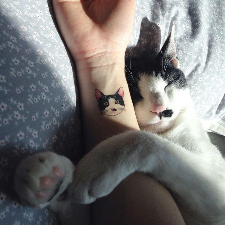 26 Cat Tattoos That Can Leave A Paw Print On Your Heart / Bright Side