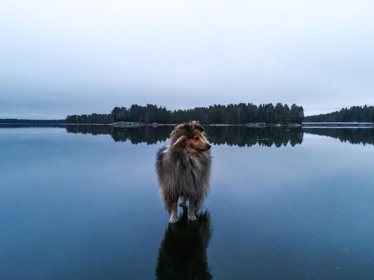 16 Mind-Boggling Photos That Captured the Magic Moment