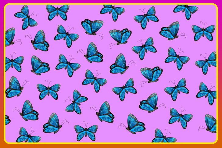 Now look at butterflies, how many of them are missing antennae?