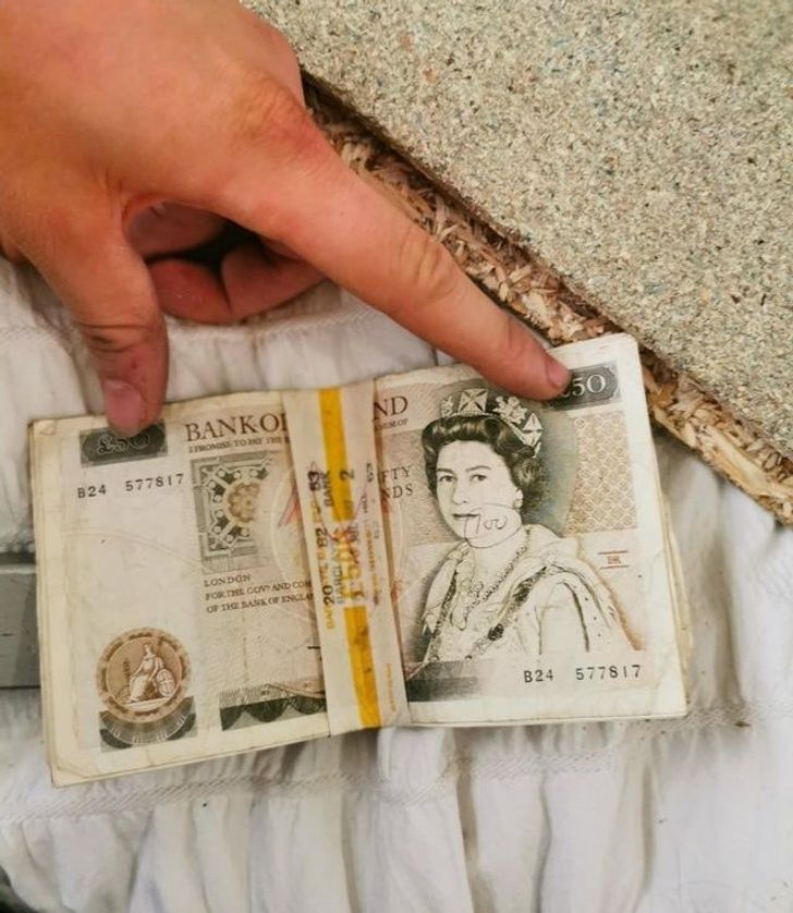 20 Small Treasures People Didn’t Expect to Find in Ordinary Homes