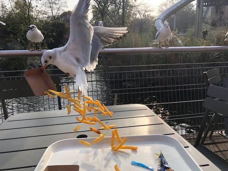 20 Shots That Are So Perfectly Timed, They Deserve an Award