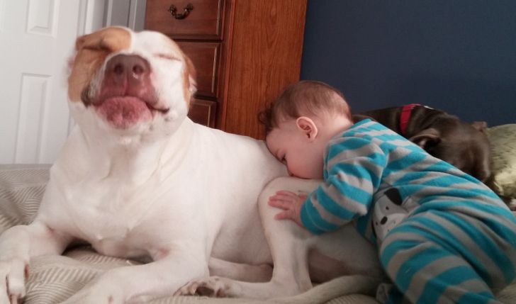 15 Photos That Prove Kids and Pets Are Pieces of the Same Puzzle