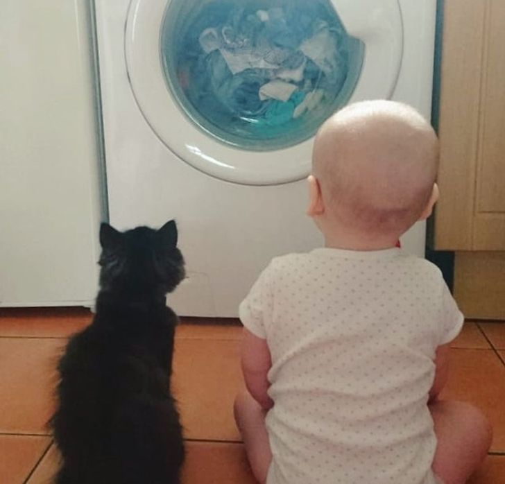 15 Photos That Prove Kids and Pets Are Pieces of the Same Puzzle