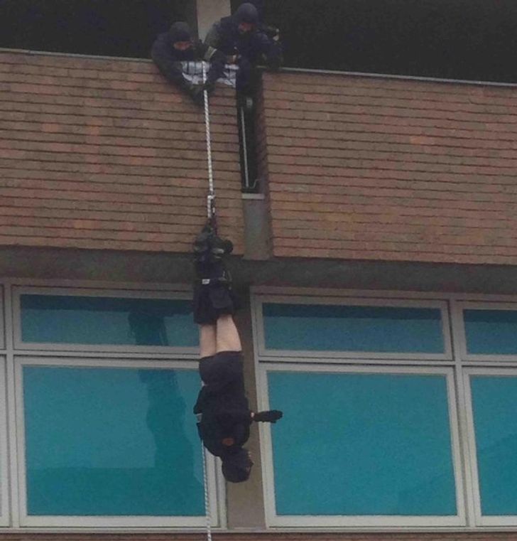 18 People Whose Job Might Be Harder Than Yours, and Now You’ll See Why