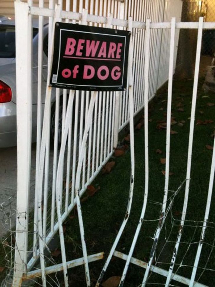 15+ Funny “Beware of the Dog” Signs and the Very Dangerous Dogs Behind Them