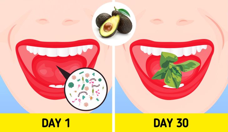 What Happens if You Eat Avocados Every Day - Parade