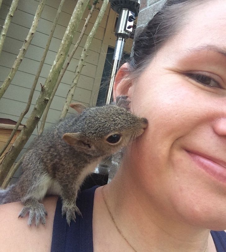 A Woman Finds a Squirrel With Long Curly Teeth and Takes Him to Save His Life