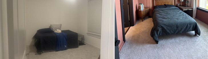 A Plain White Guest Room Makeover That Turned Out to Be the Dog's Room