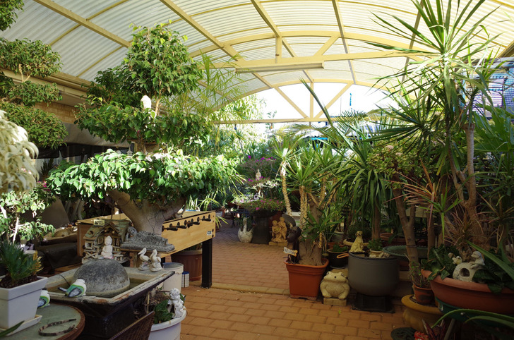 A Dad Has to Sneak New Plants Into His Garden So Mom Won’t Tell Him Off for Hoarding