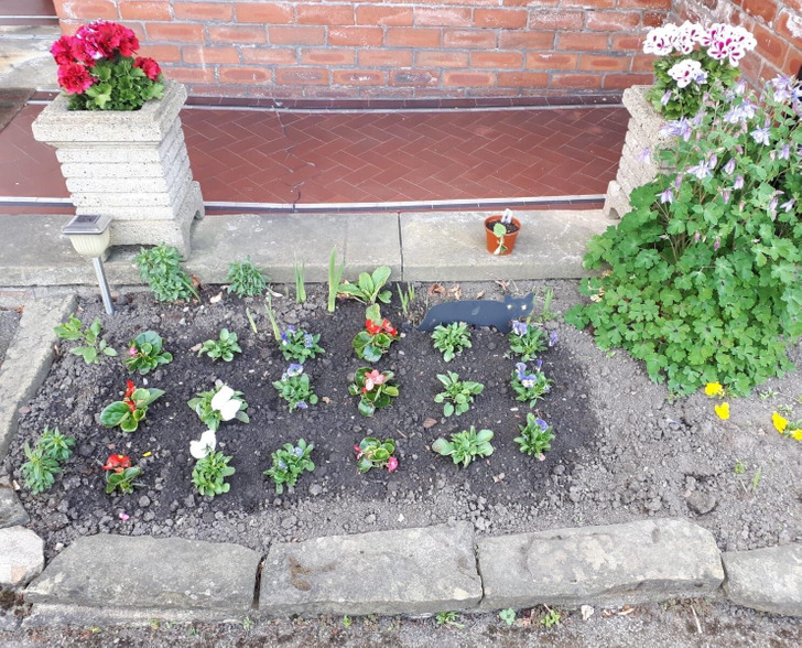 When a Woman Became a UK Citizen, Her Neighbor Planted Red, White and Blue Flowers in Her Garden