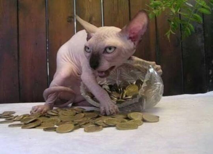 19 Strange Sights That Will Make Anyone Raise an Eyebrow