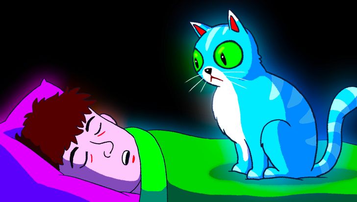 หากคุณนอนร่วมเตียงกับแมว