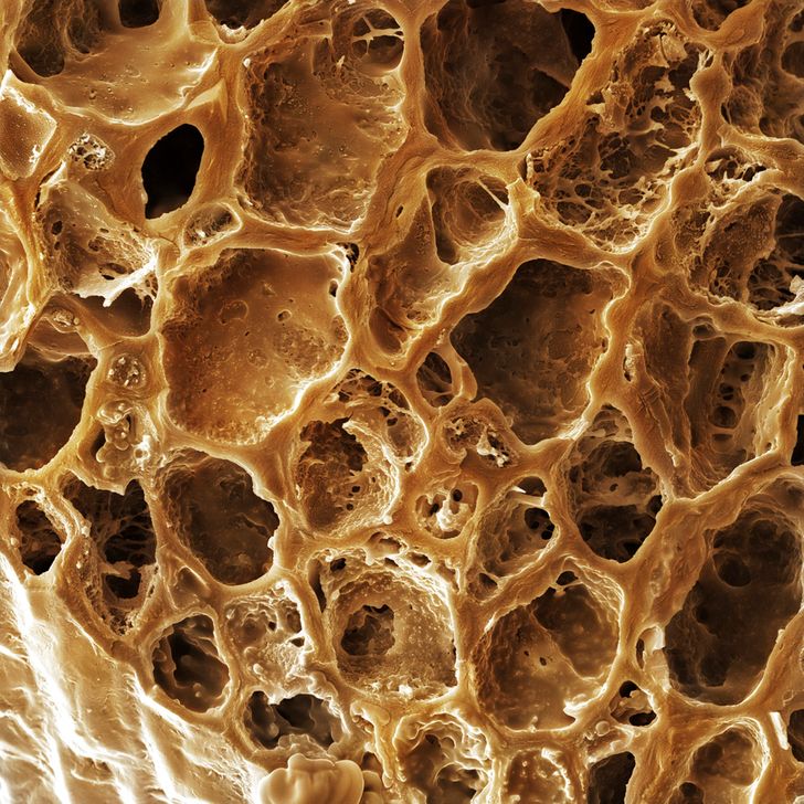 17 Fascinating Photos of Products Under the Microscope Like You’ve Never Seen Them