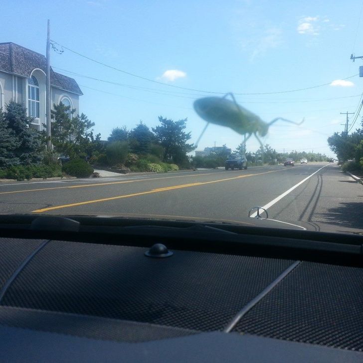 26 Photos That Will Hardly Be the Same When You Give Them a Second Look