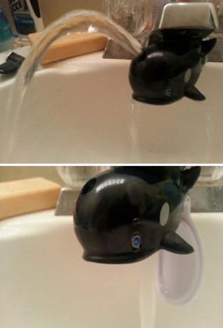 26 Cool Families That Go Crazy on a Daily Basis