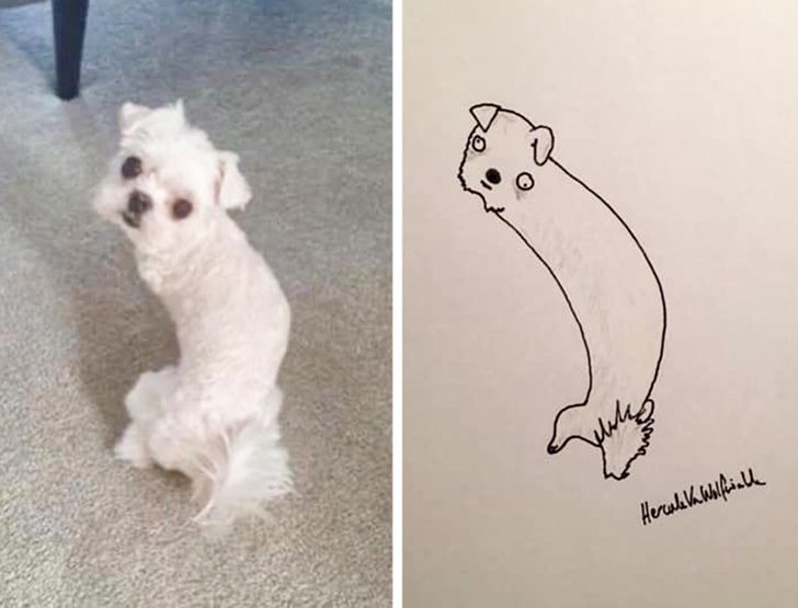 A Guy Goes Viral for His Poorly-Drawn Pet Portraits and Raises Thousands for Charity