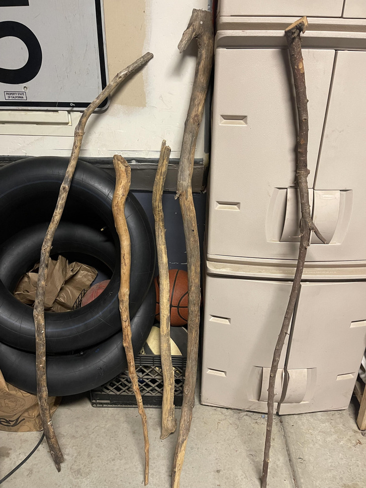 A Stick Collection From 20 Years Ago Turned Up at the Parents’ House, Mage Staff Included