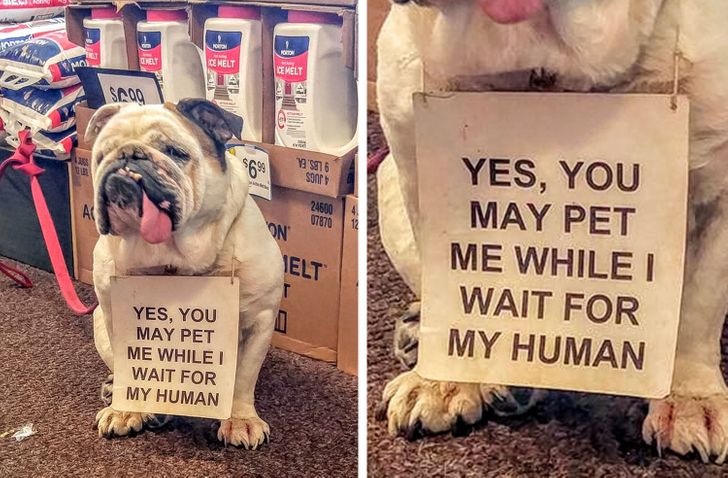 18 Pictures That Warmed Our Heart Like a Cup of Tea