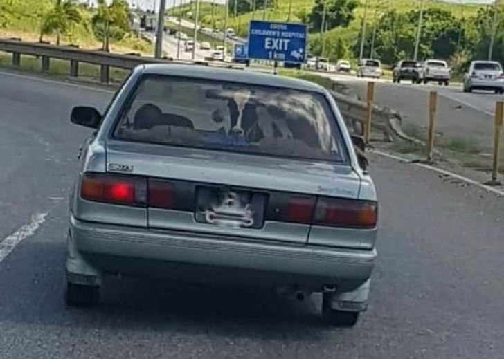 22 foto absurde ku gjithçka duket e gabuar