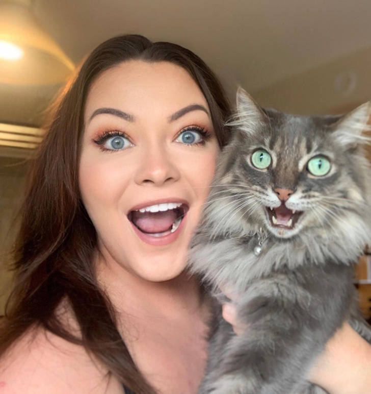 f4593a5048aafd92b6707d0117 20+ Photos That Prove Owners and Their Pets Are Hilariously Alike / Bright Side