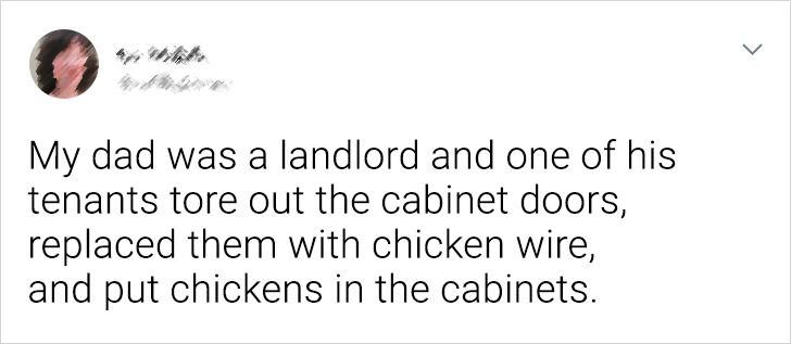 18 Stories About Tenants Who Astonished Their Landlords to the Core