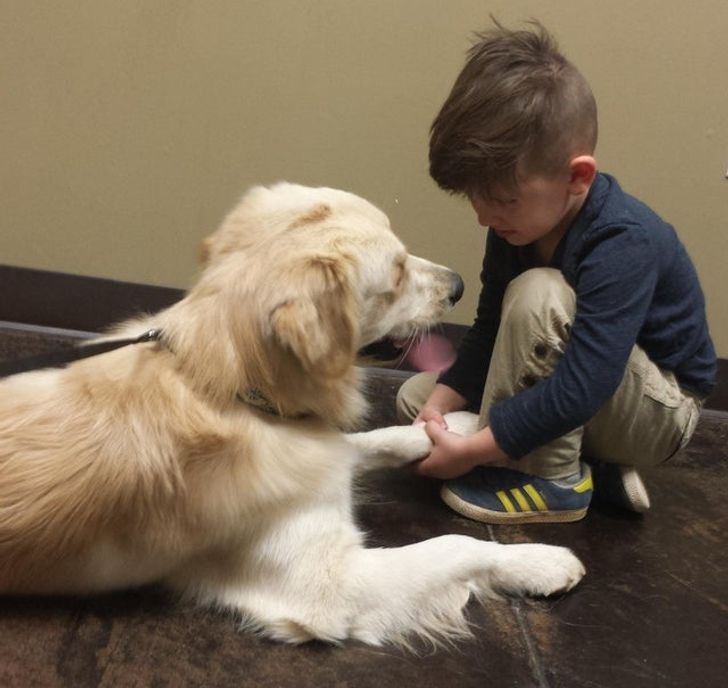 15 Photos That Prove Kids and Pets Are Pieces of the Same Puzzle