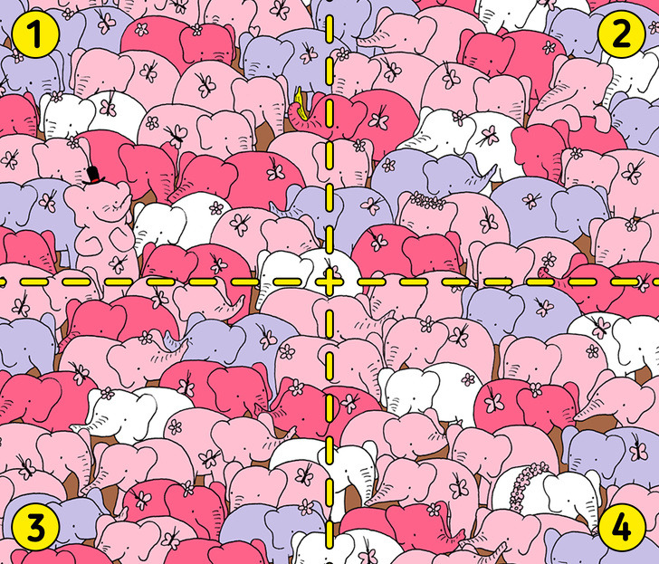 Can you find a heart among the elephants?