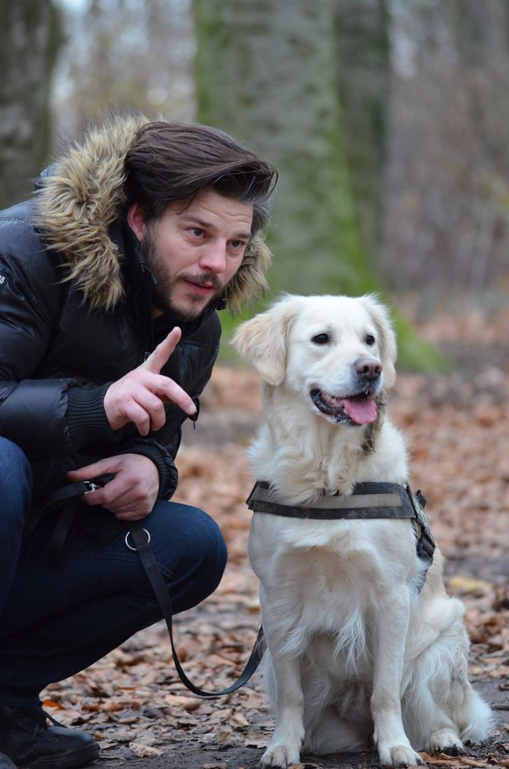 Why You Should Pet Your Dog Before Leaving