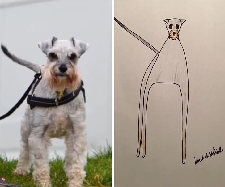 A Guy Goes Viral for His Poorly-Drawn Pet Portraits and Raises Thousands for Charity