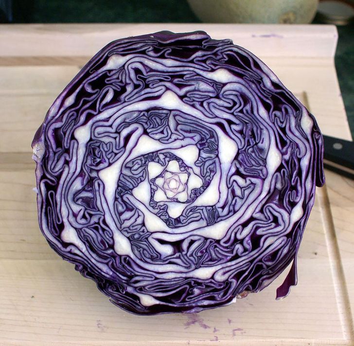 25 unbelievable things you probably never even knew existed