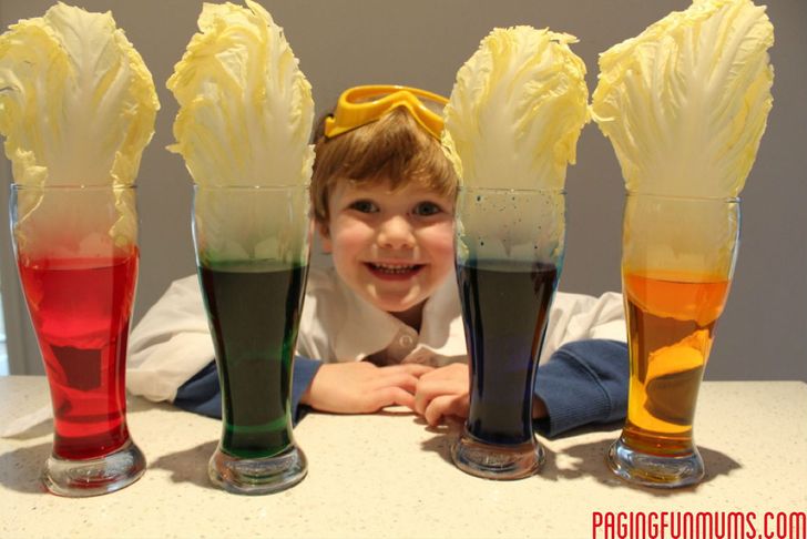 11 Awesome Science Experiments You Need to Show Your Kids
